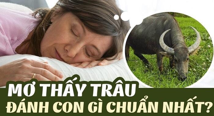 Đánh đề con trâu số mấy dễ trúng nhất? 