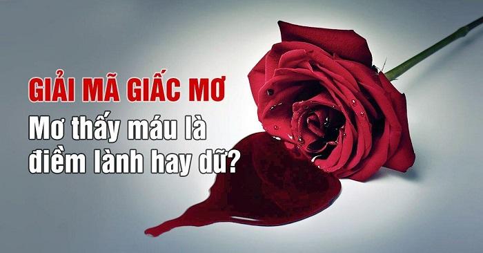 Giấc mơ thấy máu có ý nghĩa gì? 