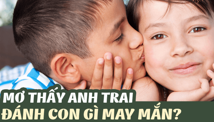 Ngủ mơ thấy anh trai đánh con gì dễ ăn tiền nhất? 