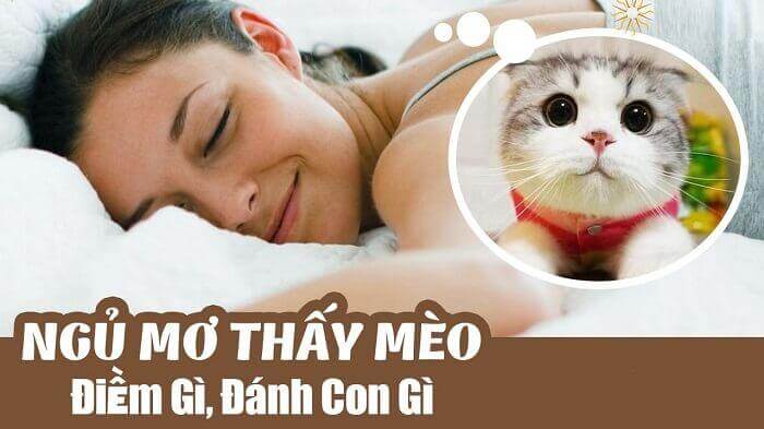 Nằm mơ thấy mèo đánh con gì chuẩn xác nhất?