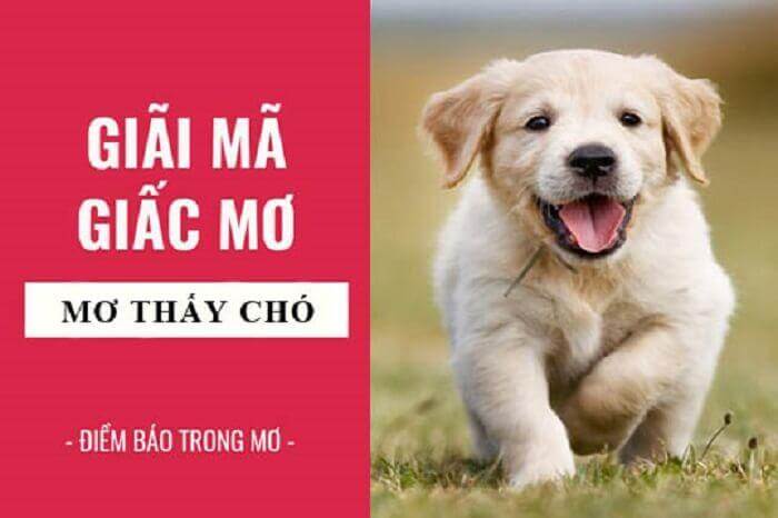 Ý nghĩa giấc mơ thấy chó