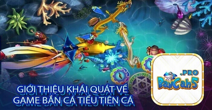 Nhận xét của người chơi về game bắn cá tiểu tiên cá